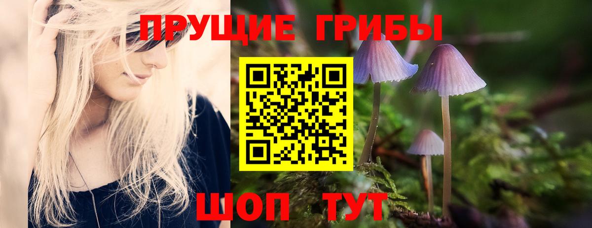Псилоцибиновые грибы MAGIC MUSHROOMS Касимов